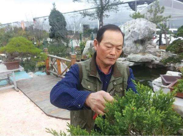 李财源 我们是如何通过盆景致富的