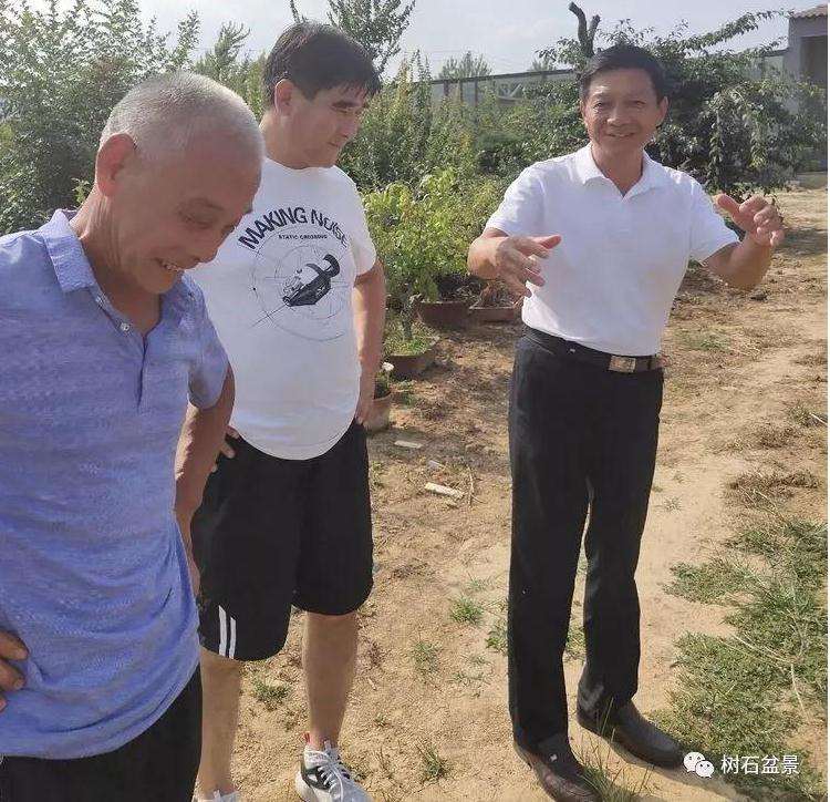 河南盆景协会换届工作预备会议召开