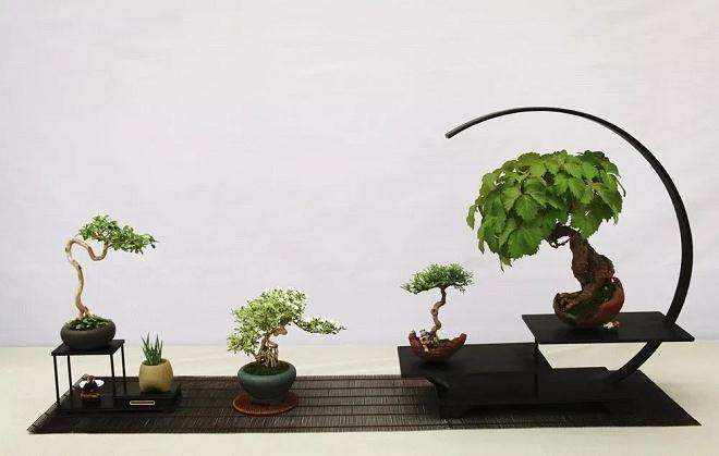 江苏盆景博物馆