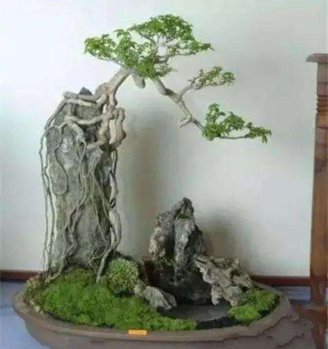 怎么用铝丝制作附石盆景的方法