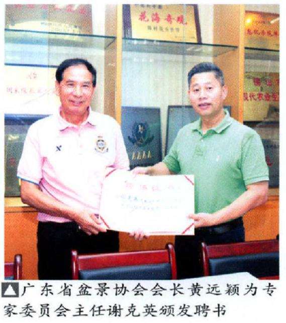 广东盆景协会成立专家委员会