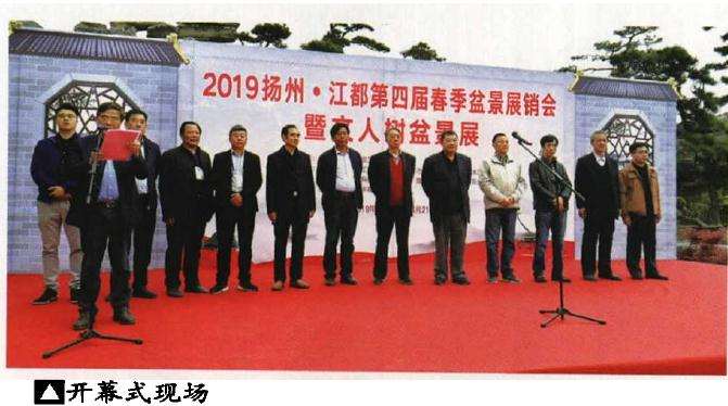 扬州江都举办盆景展销会蟹文人树专题展