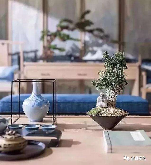 怎么在家里摆上小盆景