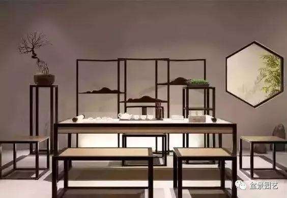 怎么在家里摆上小盆景