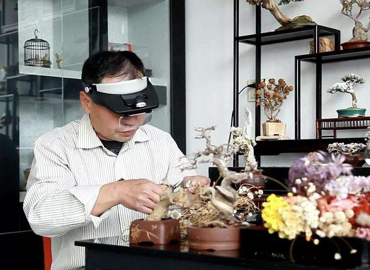 北京卫视专访让枯木逢春的盆景人