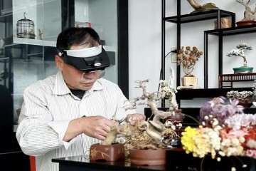 北京卫视专访让枯木逢春的盆景人