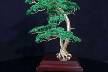 怎么让盆景以另一种形式存在