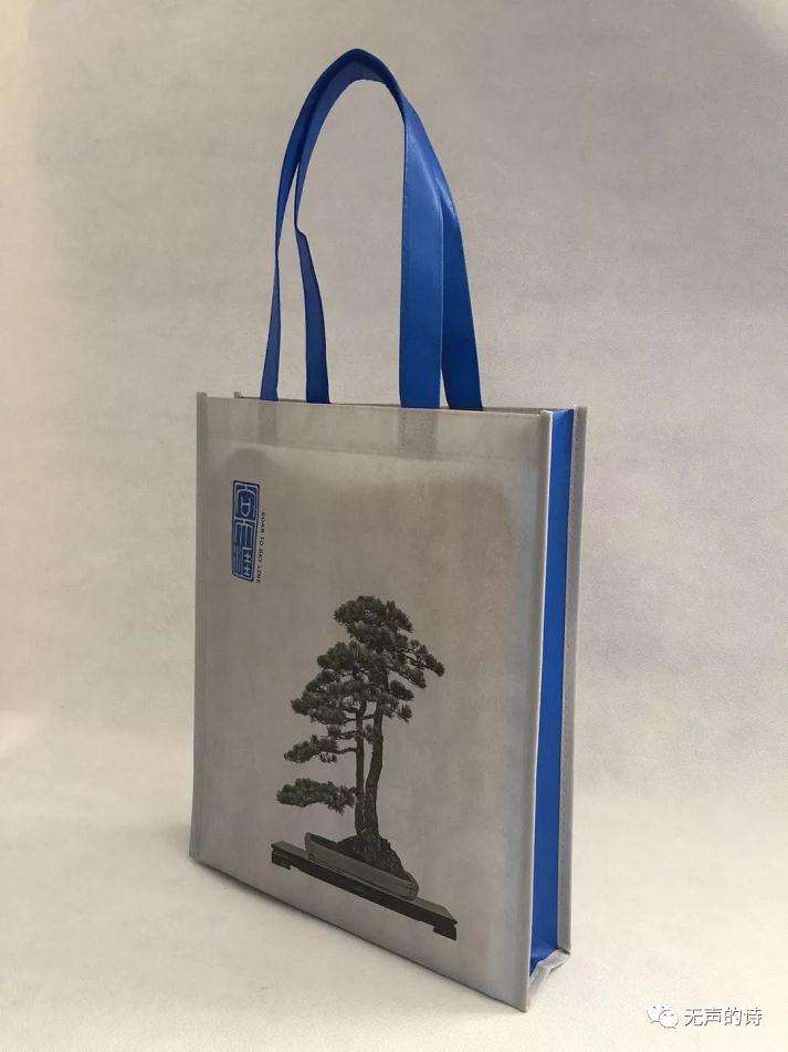 胡乐国盆景艺术研讨会预览