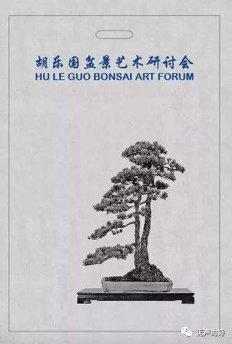 胡乐国盆景艺术研讨会预览