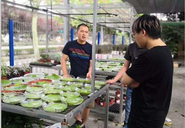 成都花木盆景正式上线京东郫都特产馆