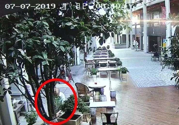 江岸分局台北街发生多起盆景被盗事件