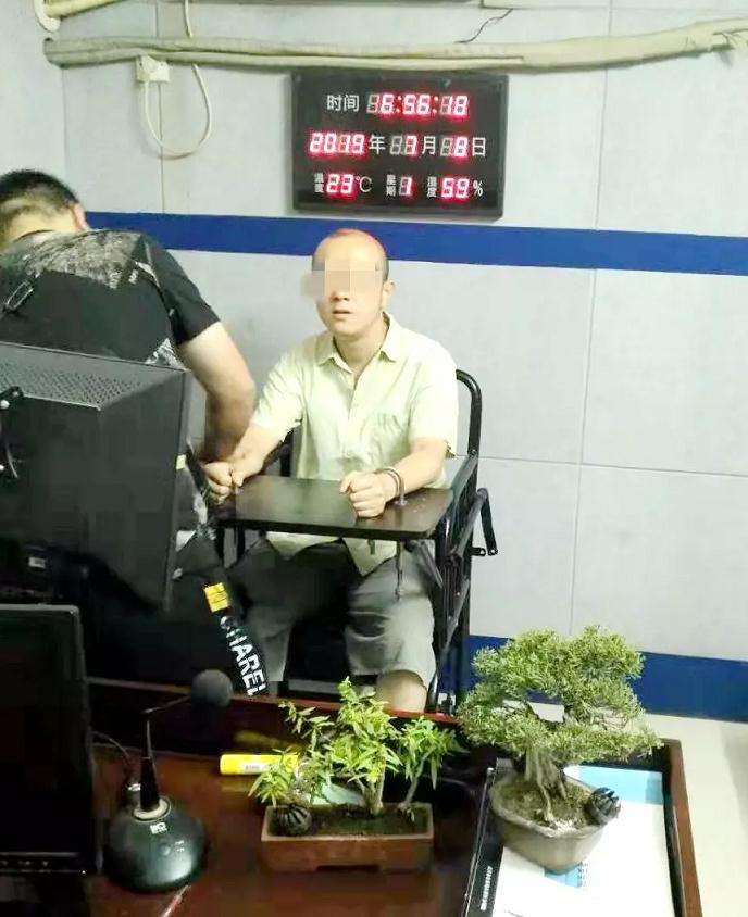 江岸分局台北街发生多起盆景被盗事件