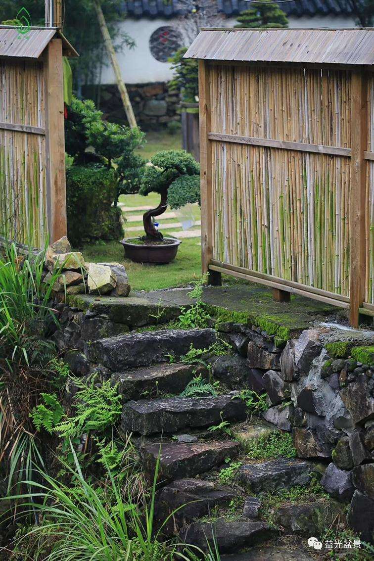 2019年 益光园专业盆景学员招录