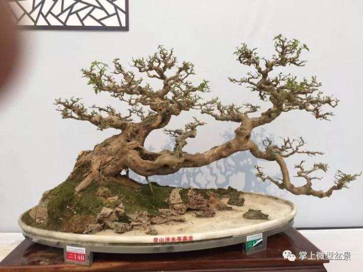 岭南盆景怎么结顶的方法