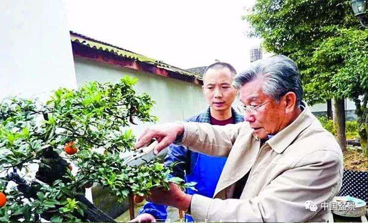 胡乐国盆景艺术研讨会即将举行