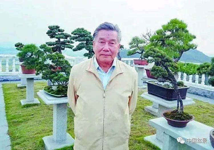 胡乐国盆景艺术研讨会即将举行