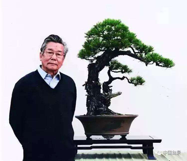 胡乐国盆景艺术研讨会即将举行