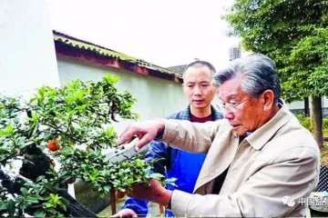 2019年 胡乐国盆景艺术研讨会即将举行