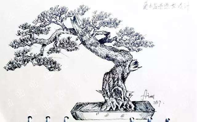 松树盆景曲干型桩材怎么造型设计