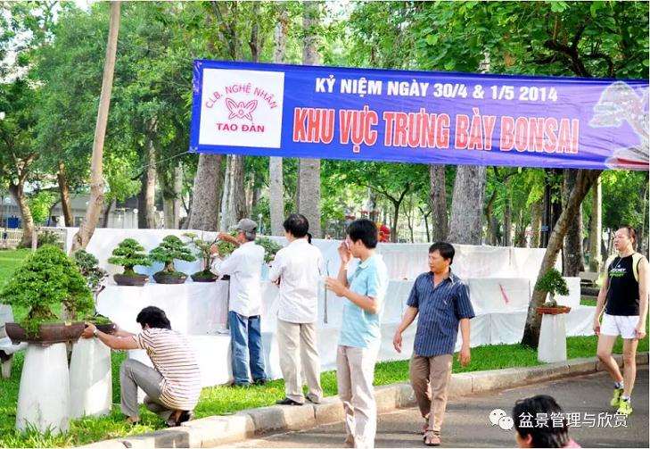 越南盆景展