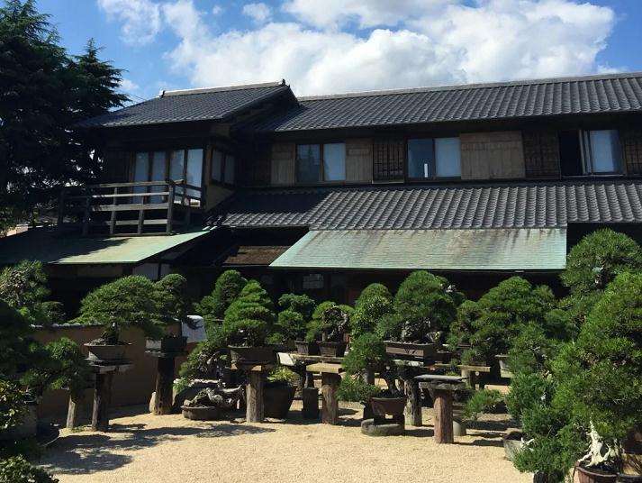 日本最美盆景园