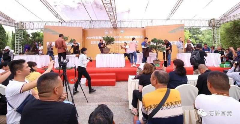 2019年国际盆景协会BCI盆景展现场创作表演