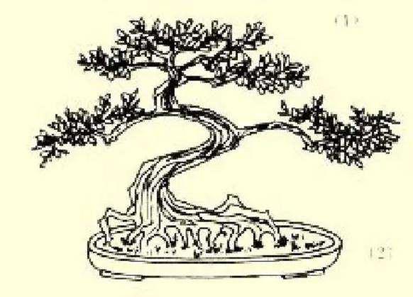 怎么制作二弯半树木盆景的方法