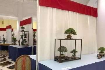 2019年 第二届美国国家肖恩盆景展