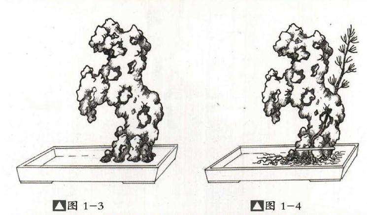 附石盆景怎么制作的方法详