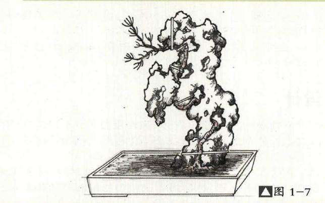 附石盆景怎么制作的方法详