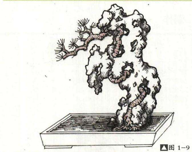 附石盆景怎么制作的方法详