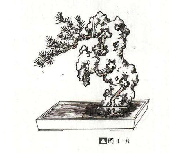 附石盆景怎么制作的方法详