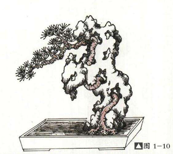 附石盆景怎么制作的方法详