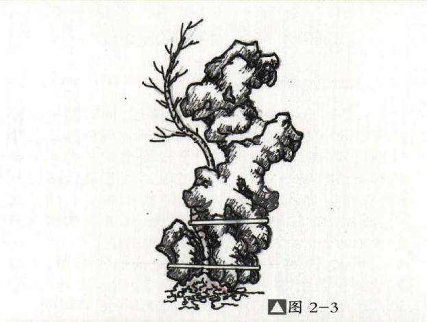 怎么用太湖石制作附石盆景的方法