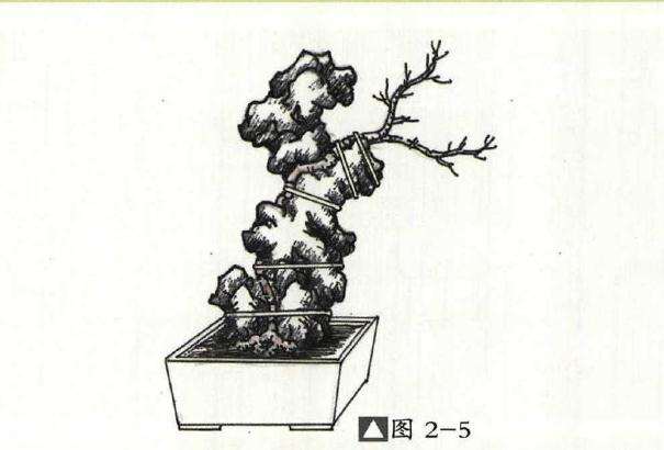 怎么用太湖石制作附石盆景的方法
