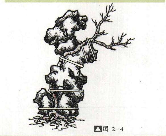 怎么用太湖石制作附石盆景的方法