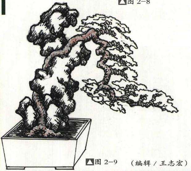 怎么用太湖石制作附石盆景的方法