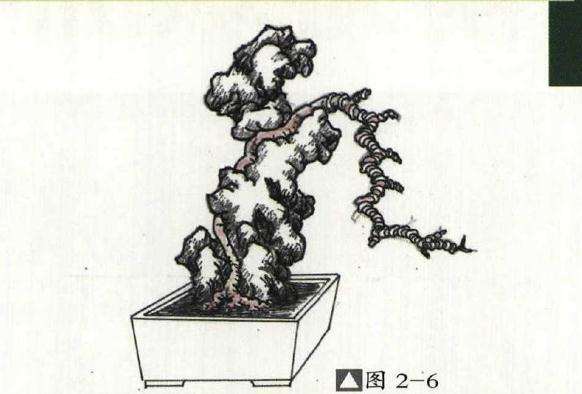 怎么用太湖石制作附石盆景的方法