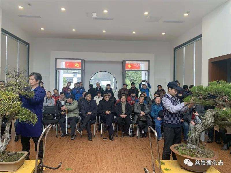 中日盆景大师怎么同场献艺