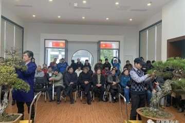 中日盆景大师怎么同场献艺