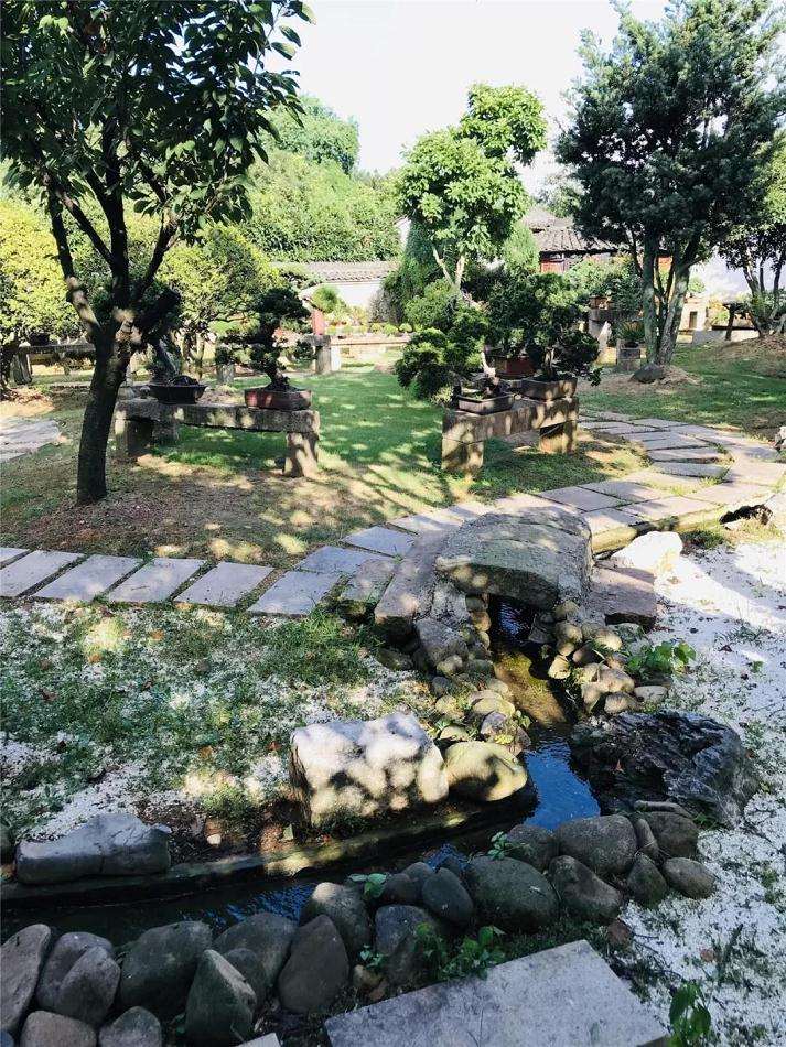 杭州超山盆景艺术博物馆