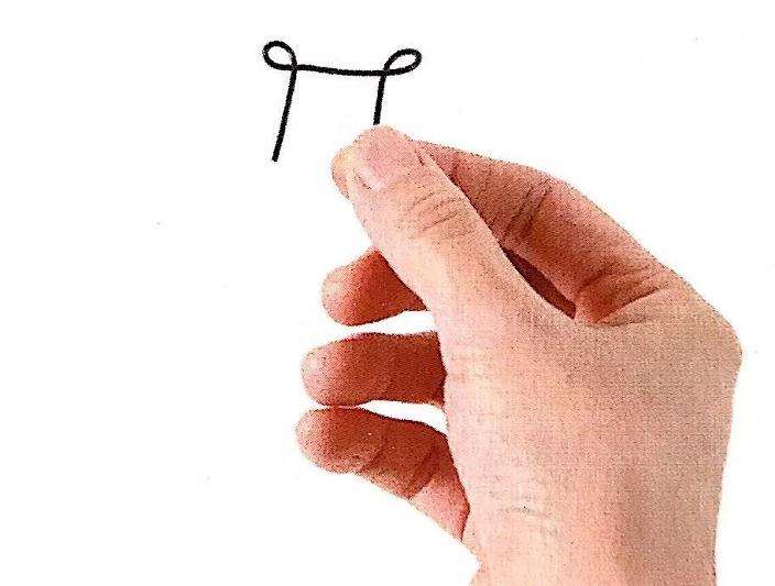 图解 怎么制作直立型盆景的方法