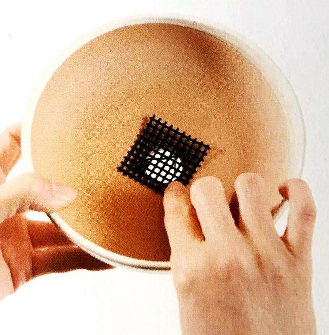 图解 怎么制作直立型盆景的方法