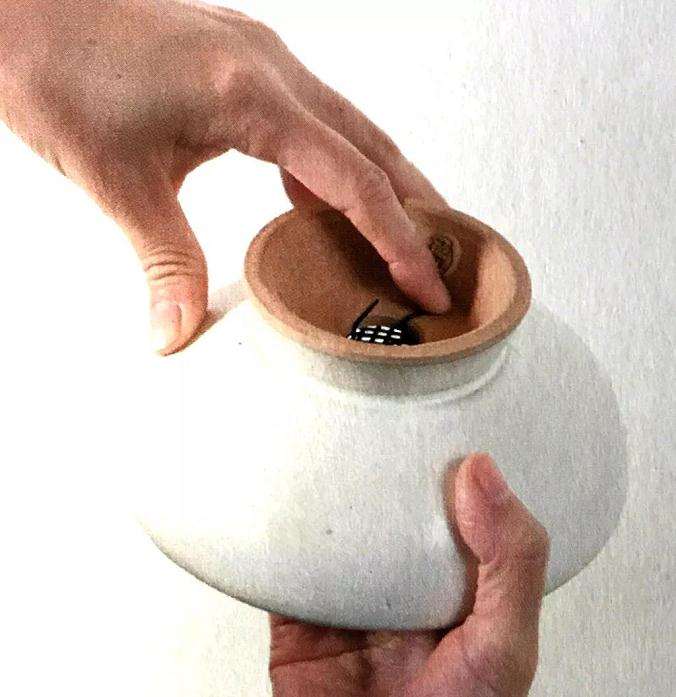 图解 怎么制作直立型盆景的方法