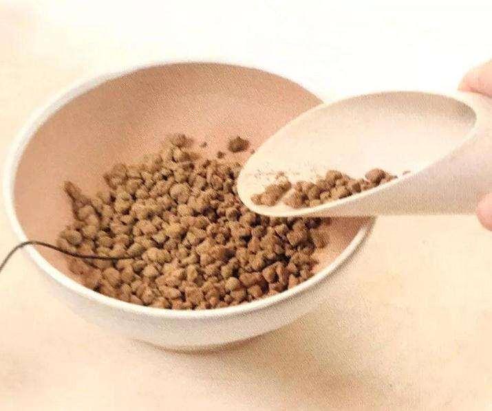 图解 怎么制作直立型盆景的方法