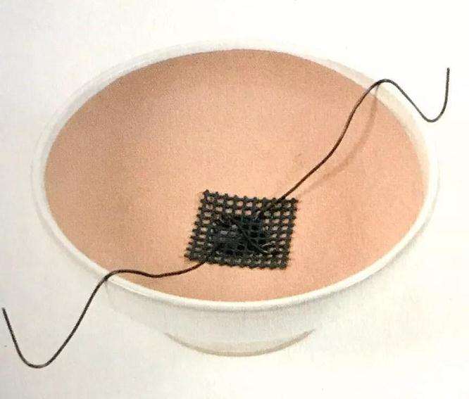 图解 怎么制作直立型盆景的方法