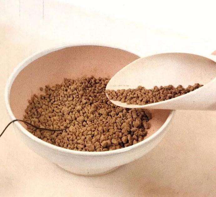 图解 怎么制作直立型盆景的方法