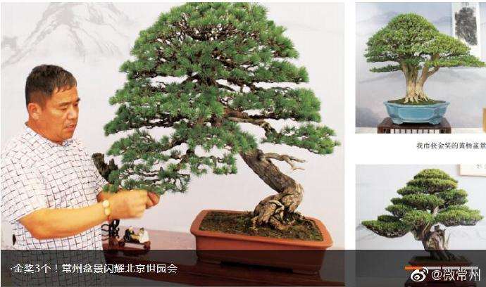 中国世界园艺博览会在北京举行