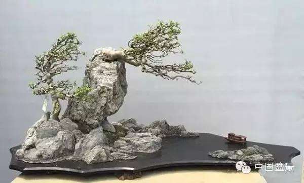 2019北京世界盆景园艺博览会