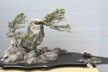 2019北京世界盆景园艺博览会